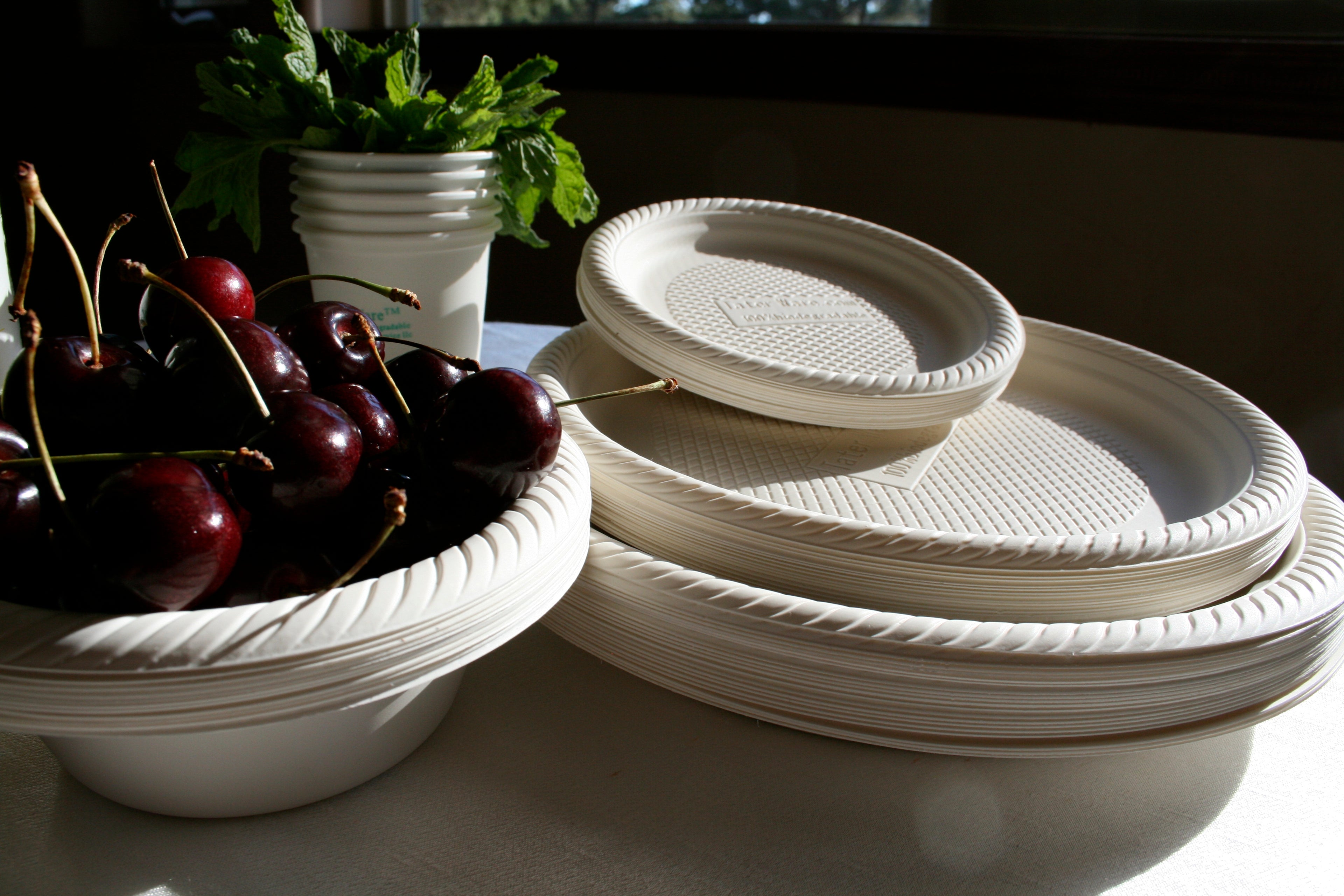 https://earth-to-go.com/cdn/shop/files/TW_PLATES_AND_TW_BOWL_WITH_CHERRIES.jpg?v=1690378320&width=3840